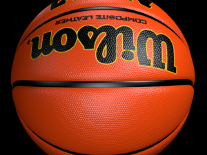 basketball wilson 3D Model