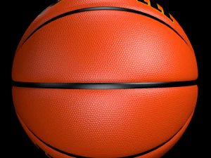 basketball wilson 3D Model