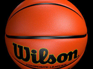 basketball wilson 3D Model