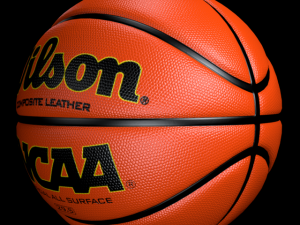 basketball wilson 3D Model