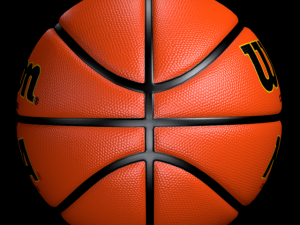 basketball wilson 3D Model