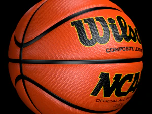 basketball wilson 3D Model