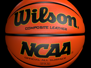 basketball wilson 3D Model