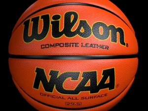 basketball wilson 3D Model