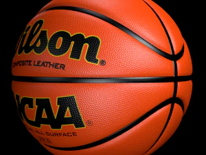 basketball wilson 3D Model