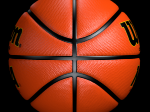 basketball wilson 3D Model