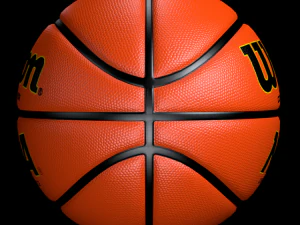 basketball wilson 3D Model