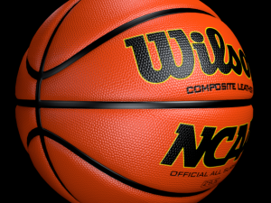 basketball wilson 3D Model