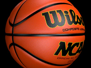 basketball wilson 3D Model