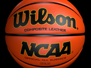 basketball wilson 3D Model