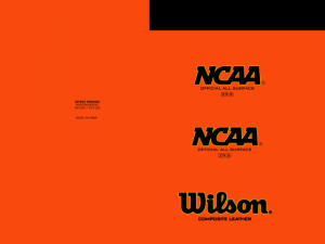 basketball wilson 3D Model