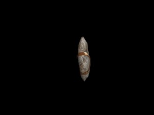 stone hatchet Modello 3D