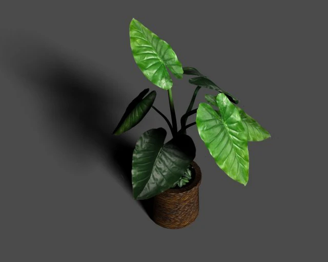 taro silk 3D Model .c4d .max .obj .3ds .fbx .stl .blend