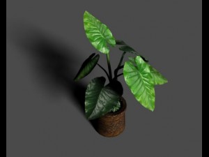 taro silk Model 3D