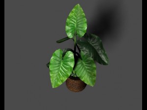 taro silk 3D Модель