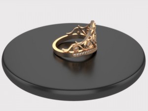 ring  crouw 3D Model