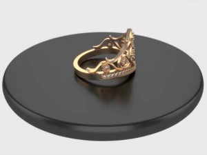 ring  crouw 3D Model