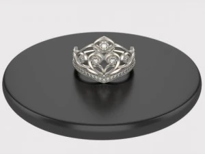 ring  crouw 3D Model
