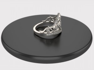 ring  crouw 3D Model