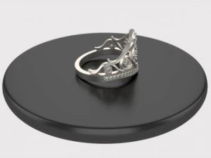 ring  crouw 3D Model