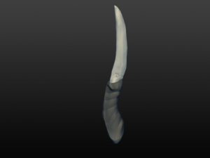 throwing blade 3D Модель