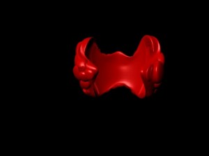 thyroid gland Model 3D
