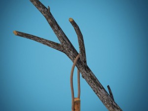 snowman skier 3D Model