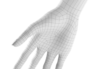 stylized woman 3D Model