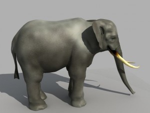 asian elephant Modelo 3D