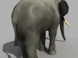 asian elephant Modelo 3D