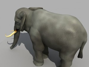 asian elephant Modelo 3D