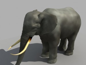 asian elephant Modelo 3D