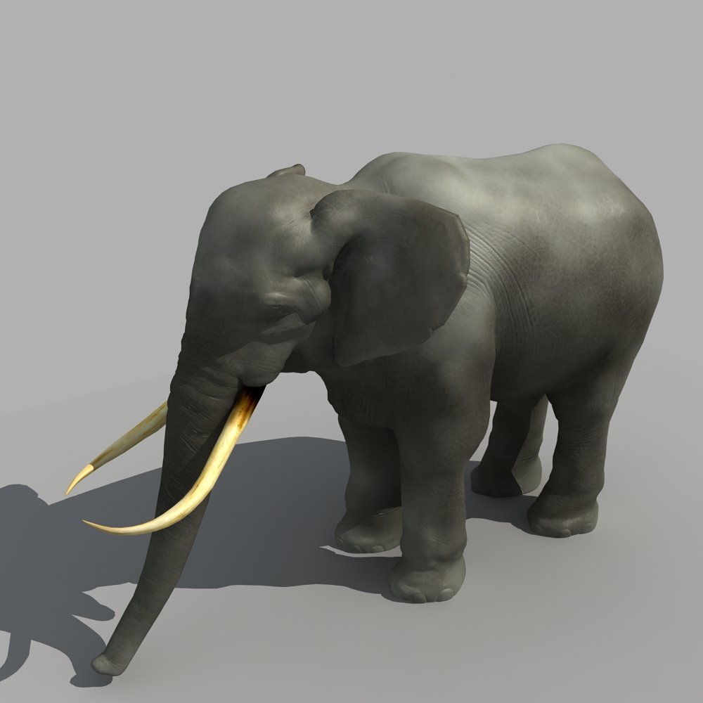 Слон 3д. Слон 3д модель упрощенный. Elefant 3d model. Слон 3д вектор.