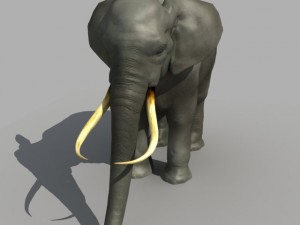 asian elephant Modelo 3D