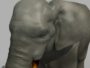 asian elephant Modelo 3D