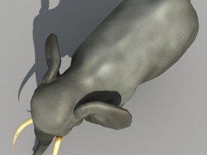 asian elephant Modelo 3D