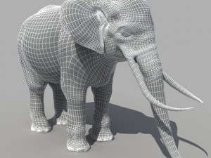 asian elephant Modelo 3D