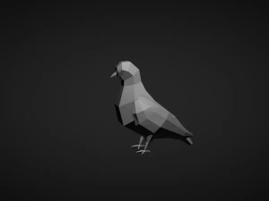 Low Poly Pigeon 3D Model