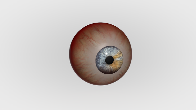 Human Eye Modèle 3D .c4d .max .obj .3ds .fbx .stl .blend 
