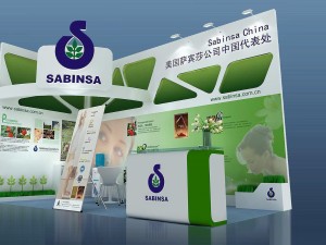 exhibition area 6x33dmax200925252 3D 모델