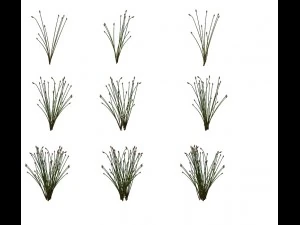 modelo de jogo - cena da pradaria - plantas do deserto 02 01 Modelo 3D