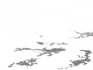 game model - prairie scene - grass 04 01 3D Модель