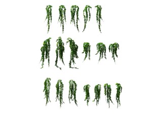 game model - prairie scene - ivy 02 01 Model 3D