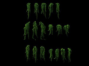 game model - prairie scene - ivy 02 01 Modelo 3D