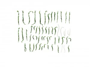 game model - prairie scene - ivy 03 01 3D Model