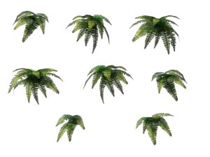 game model - prairie scene - ivy 04 01 3D 모델