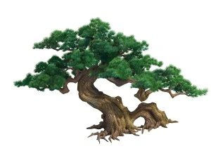 game model - taoist comprehension scene - a pine 0 3D Model