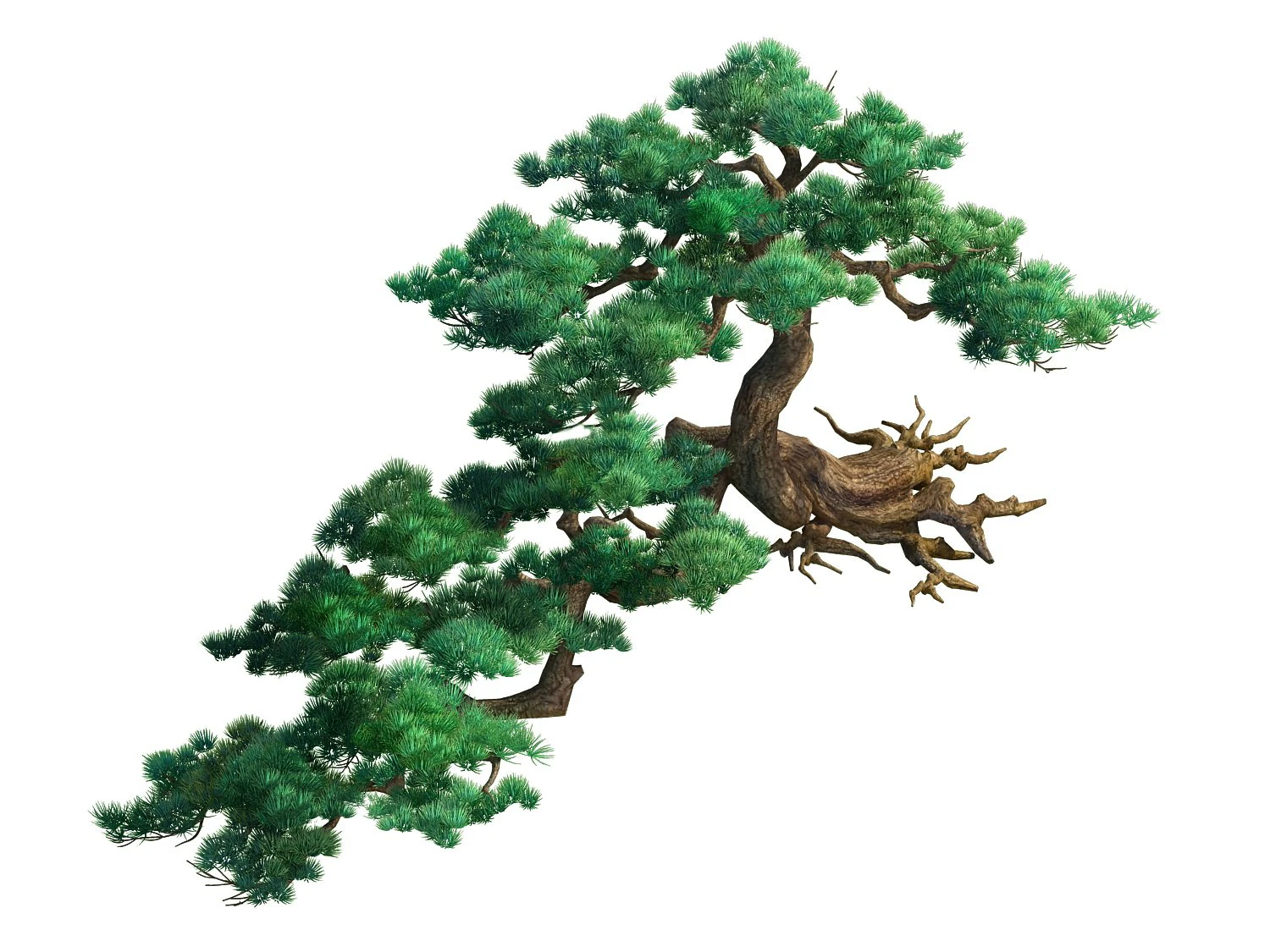 game model - taoist comprehension scene - pine 01 3D Model .c4d .max .obj .3ds .fbx .stl .blend 