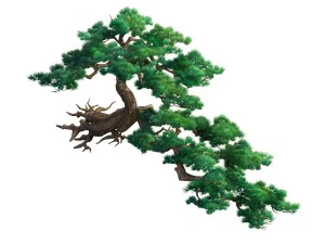 game model - taoist comprehension scene - pine 01 3D Model