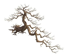 game model - taoist comprehension scene - pine 01 3D Model